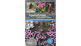 Alpenpflanzen einfach bestimmen: Schritt für Schritt Pflanzenarten der Alpen kennenlernen