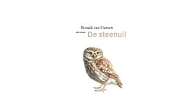 De steenuil