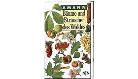 Bäume und Sträucher des Waldes