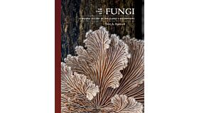 The Lives of Fungi - A Natural History of Our Planet's Decomposers