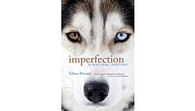 Imperfection