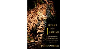 Heart of the Jaguar - The Extraordinary Conservation Effort to Save the America's Legendary Cat