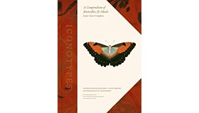 A Compendium of Butterflies & Moths: Jones's Icones Complete