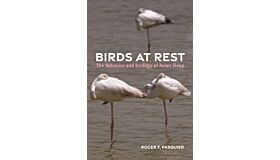 Birds at Rests