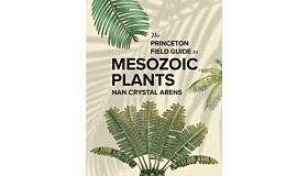 The Princeton Field Guide to Mesozoic Plants (Pre-order October 2025)