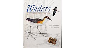 Waders of Southern Africa