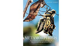 Metamorphosis - Astonishing Insect Transformations
