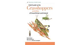 Field Guide to the Grasshoppers and Allies of Great Britain and Ireland : Grasshoppers, Crickets, Earwigs, Cockroaches, Mantids and Stick-insects