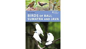 Helm Wildlife Guides - The Birds of Bali, Sumatra and Java (December 2022)