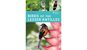 Helm Wildlife Guides - The Birds of the Lesser Antilles (Summer 2022)