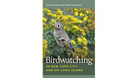 Birdwatching in New York City and Long Island