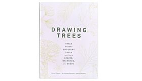 Drawing Trees: Trace Thirty Different Trees and Their Leaves, Branches, and Seeds