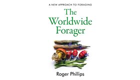 The Worldwide Forager : A New Approach to Foraging