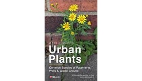 A Field Guide to Urban Plants : Common Species of Pavements, Walls and Waste Ground