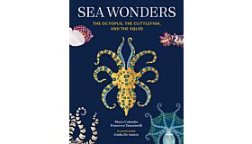 Sea Wonders : The Octopus, the Cuttlefish, and the Squid