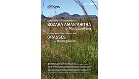 Field Guide of Common Grasses of Madagascar