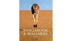 Kangaroos & Wallabies of Australia