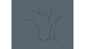 Rivers Run Through It - Los Angeles: Landscapes of Four Ecologies