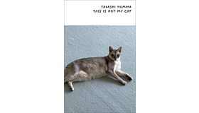 Takashi Homma – This Is Not My Cat