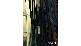 Michele Saee - Philosophy and Proces: Projects1985-2017