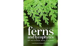 Identification Guide to the Ferns and Lycophytes of Aotearoa New Zealand