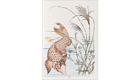 Notebook Japanese Drawings for Art and Industry