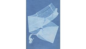 Notebook Sea Algae Cyanotype