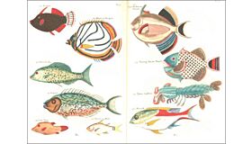 Notebook Fishes and Crabs