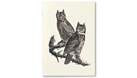 Notebook Birds of America