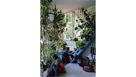 Evan Renaudie – Les Étoiles d’Ivry, a familly adventure