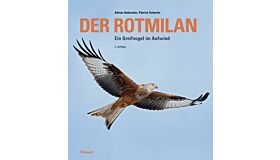 Der Rotmilan - Ein Greifvogel im Aufwind