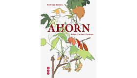 Ahorn: Arten, Farben, Formen