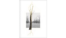 Giuseppe Penone - Thoughts in the Roots