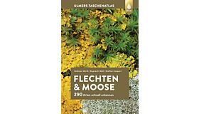 Flechten & Moose - 290 Arten schnell erkennen