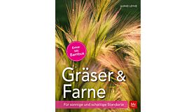 Gräser und Farne - Für sonnige und schattige Standorte