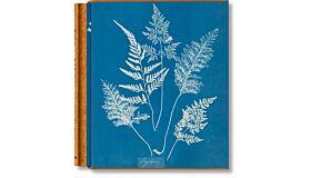 Anna Atkins Cyanotypes