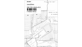 GTA Papers - Amazônía