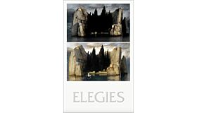 Elegies - Laments for an architectural project
