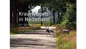 Kraanvogels in Nederland - een unieke, maar kwetsbare ontwikkeling