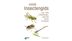 ANWB Insectengids - Ruim 1500 afbeeldingen, vaak ook larven en poppen
