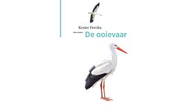 De ooievaar (Zomer 2023)