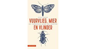 Vuurvlieg, mier en vlinder - Het verborgen leven van insecten