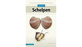 Veldgids Schelpen - Zeeschelpen en weekdieren uit ons Noordzeegebied