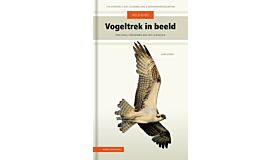 Veldgids vogeltrek in beeld - Vogels herkennen aan hun vliegbeeld
