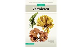 Veldgids Zeewieren -Meer dan 145 soorten – uitgebreide beschrijvingen - veldkenmerken (Herziene editie Pre-order)