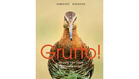 Grutto ! - De reis van onze nationale  vogel