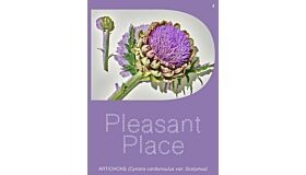 Pleasant Place 4: Artichoke (Cynara cardunculus var. Scolymus) (Not yet published)