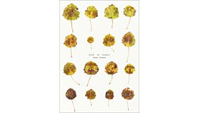 Anne Geene - Book of Plants (PBK)