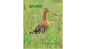 Grutto