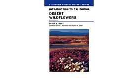 Introduction to California Desert Wildflowers